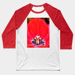 Tulip Baseball T-Shirt